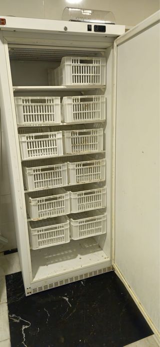4 Congeladores y 1 Nevera hosteleria