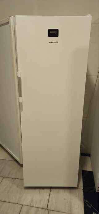 4 Congeladores y 1 Nevera hosteleria