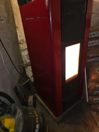 Estufa de pellets Ferlux grande