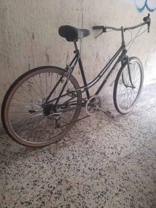 Gran oferta Bicicleta Paseo 26