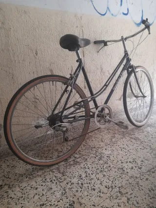Gran oferta Bicicleta Paseo 26