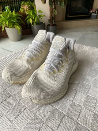 Adidas Alphaboost Continental Zapatillas