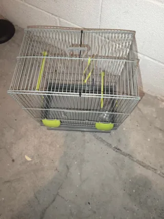 Jaula para pájaros plateada y verde