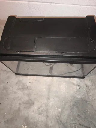 Pecera negra y transparente