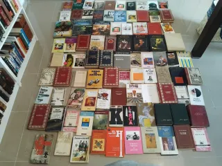 Lote de 90 libros por 45 euros