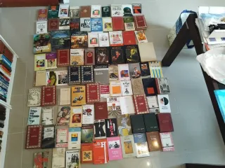 Lote de 90 libros por 45 euros