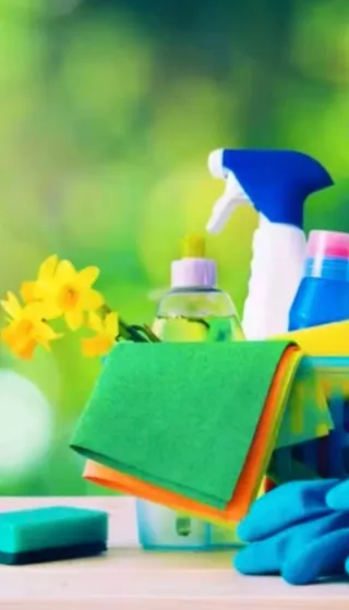 Busco empleo doméstico