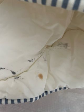 Edredon Nórdico IKEA 150x200 + Bolsa PARKLA