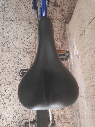 Gran oferta Bicicleta Montaña Aluminio 24 pulgadas