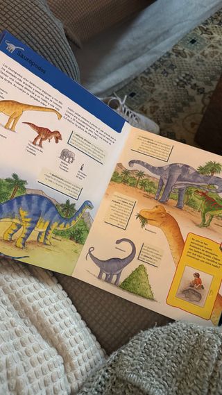 Libro Dinosaurios con solapas