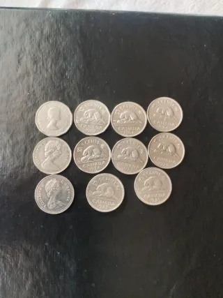 Monete da 5 centesimi Canada (11 pezzi)