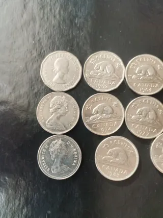 Monete da 5 centesimi Canada (11 pezzi)