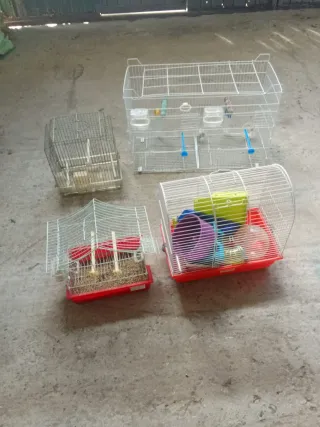 4 Casas para pájaros y hámster