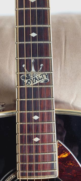 Guitarra Electroacústica Fender Emory Ron