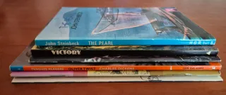 Pack 6 libros inglés