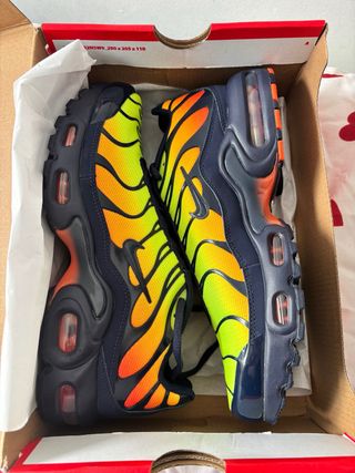 Zapatillas Nike Air Max Plus Multicolor