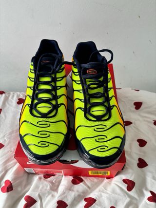 Zapatillas Nike Air Max Plus Multicolor