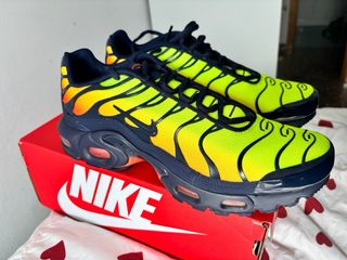 Zapatillas Nike Air Max Plus Multicolor