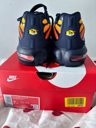 Zapatillas Nike Air Max Plus Multicolor