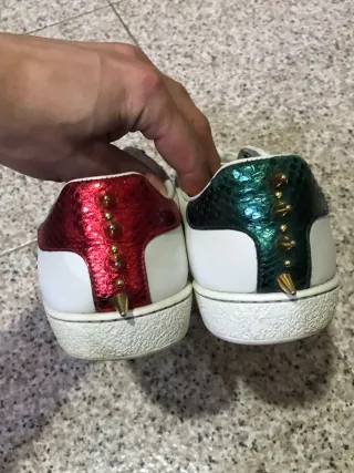 Scarpe Gucci Ace Donna 37