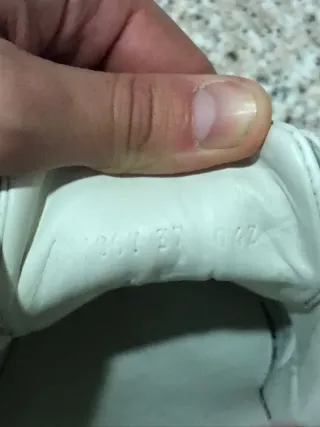 Scarpe Gucci Ace Donna 37