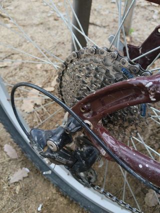 Specialized Hardrock Sport 26 Talla M Roja