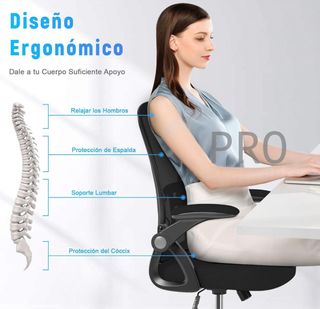 Silla de oficina ergonómica con soporte - Naspaluro