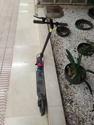 Patinete Eléctrico Xiaomi