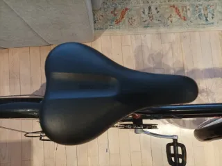 Bicicleta Infantil Riverside 20