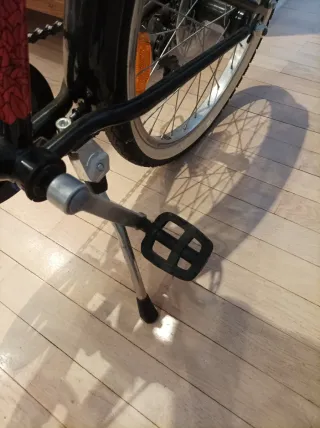 Bicicleta Infantil Riverside 20