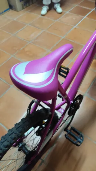 Bicicleta niña rosa 20 pulgadas