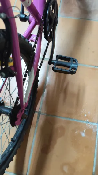 Bicicleta niña rosa 20 pulgadas