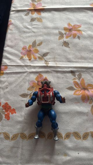 Lote Figuras Masters of the Universe y accesorios