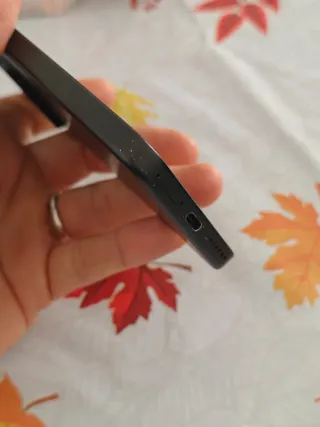 Xiaomi 15 Nero 12/512GB