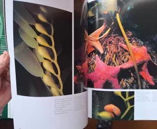 "Naturaleza salvaje"