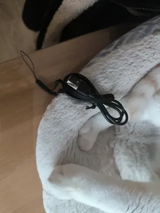 Altavoz Logoss FCLV5 Wireless Azul/Rojo