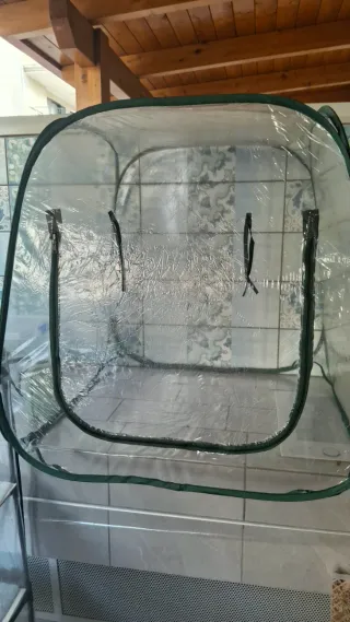 Serra da esterno 4 ripiani + serra aperta cupola