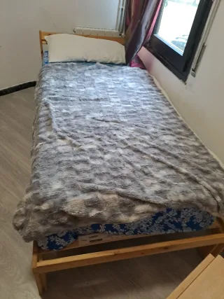 Se alquila habitacion