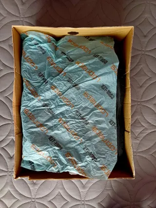 Zapatos Robusta Gore-Tex Negros