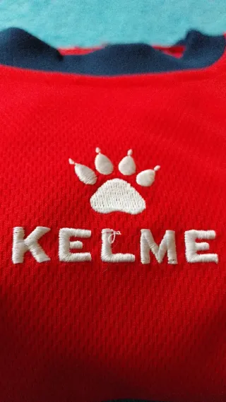 Lote de ropa vintage: dos camisetas y un polo