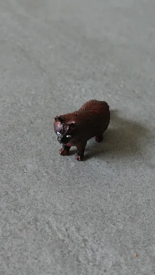 Gatto Birmano Marrone