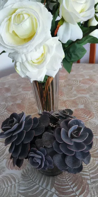 Preciosa suculenta en maceta