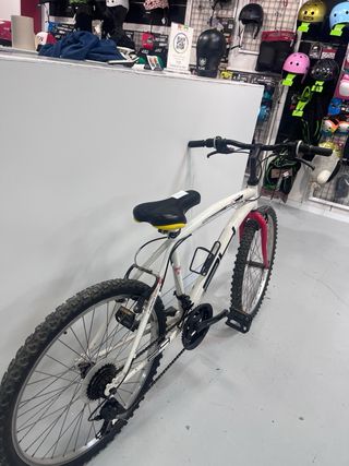 Bicicleta MTB Haro Tail 24”