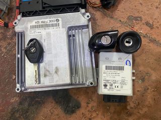 Cableado + EWS BMW 320d 150cv gestión electronica