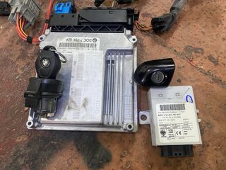 Cableado + EWS BMW 320d 150cv gestión electronica