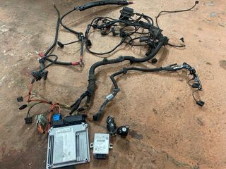 Cableado + EWS BMW 320d 150cv gestión electronica