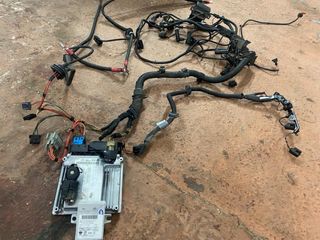 Cableado + EWS BMW 320d 150cv gestión electronica