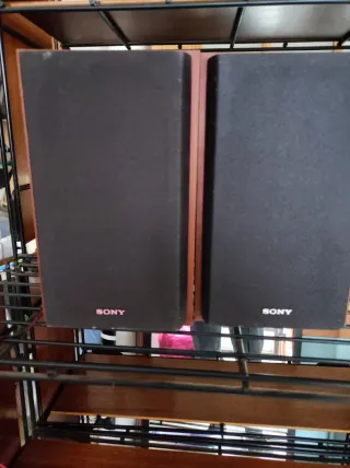 Altavoces Sony Negros y Marrones