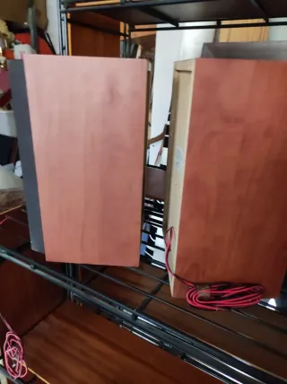 Altavoces Sony Negros y Marrones