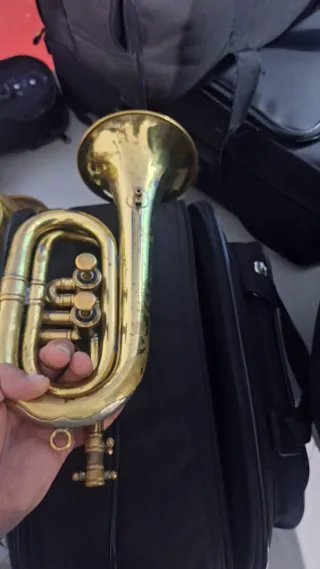 Lote de 15 cornetas Honsuy 2 pistones